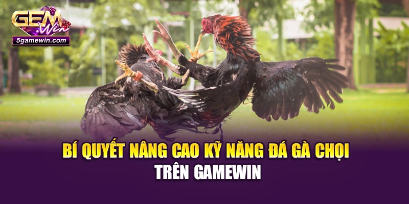 Bí quyết nâng cao kỹ năng đá gà chọi trên Gamewin