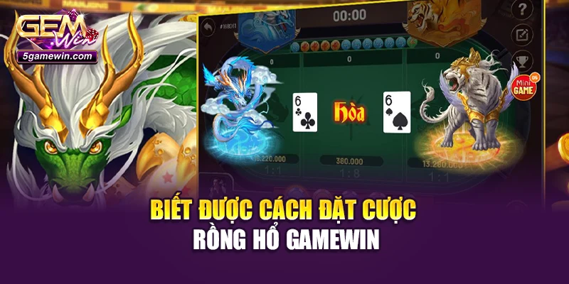 Biết được cách đặt cược Rồng Hổ Gamewin