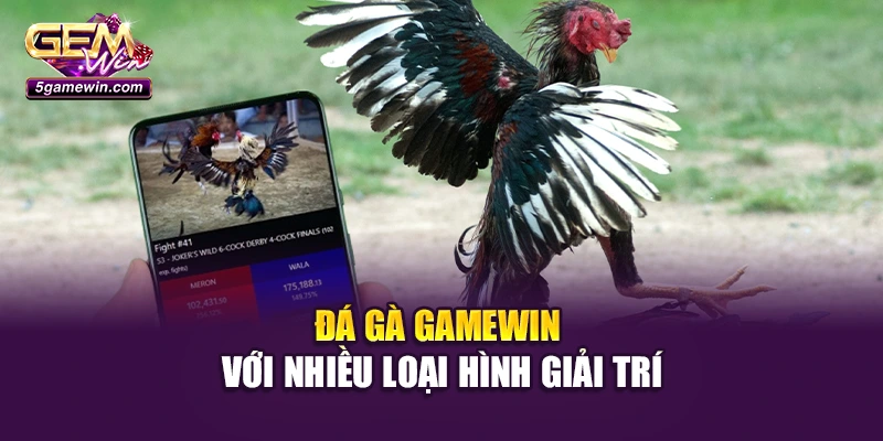 Đá gà GameWin với nhiều loại hình giải trí
