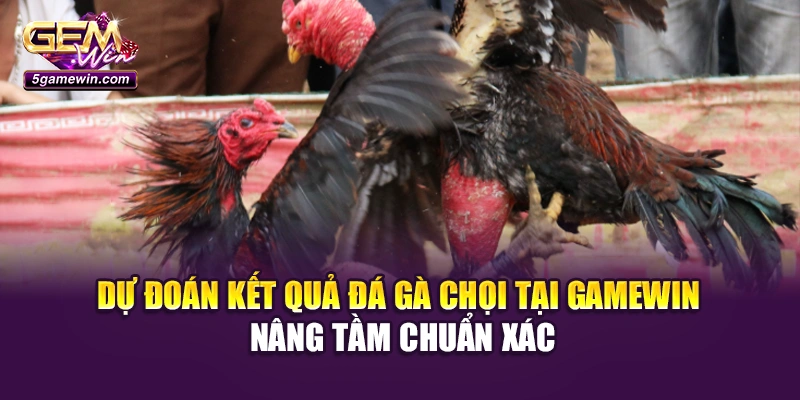 Dự đoán kết quả đá gà chọi tại Gamewin nâng tầm chuẩn xác