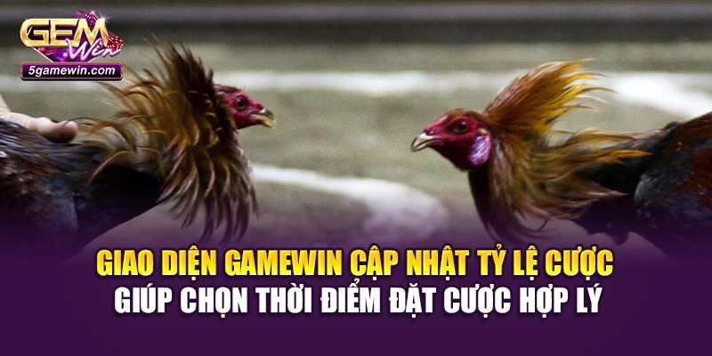 Giao diện Gamewin cập nhật tỷ lệ cược giúp chọn thời điểm đặt cược hợp lý