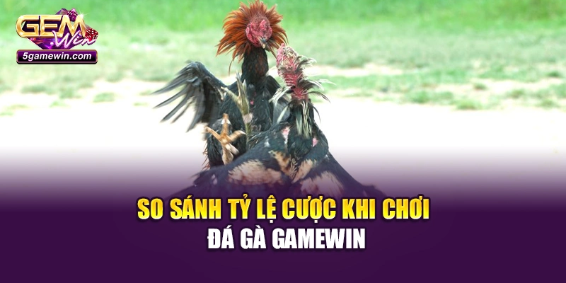 So sánh tỷ lệ cược khi chơi đá gà GameWin