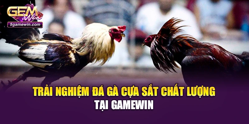 Trải nghiệm đá gà cựa sắt chất lượng tại Gamewin