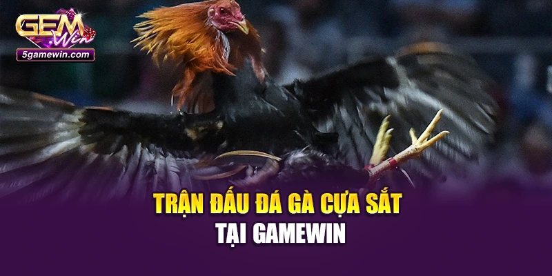 Trận đấu đá gà cựa sắt tại Gamewin