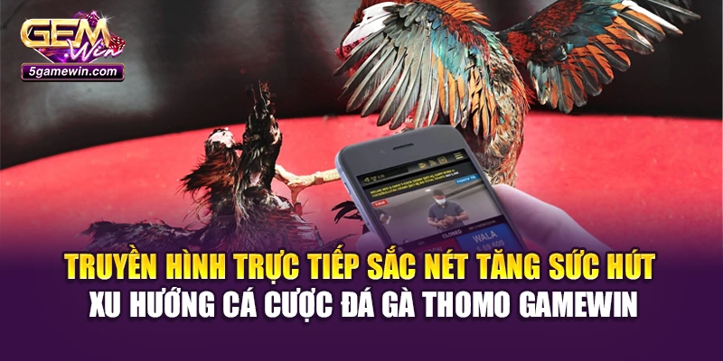Truyền hình trực tiếp sắc nét tăng sức hút xu hướng cá cược đá gà thomo Gamewin