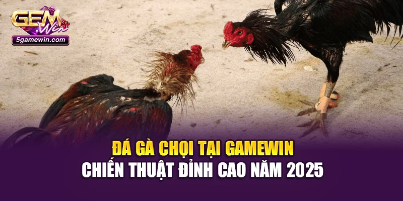 Đá Gà Chọi Tại Gamewin: Chiến Thuật Đỉnh Cao Năm 2025
