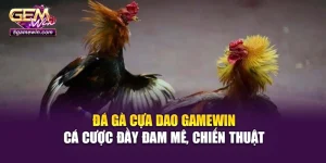 Đá Gà Cựa Dao Gamewin: Cá Cược Đầy Đam Mê, Chiến Thuật