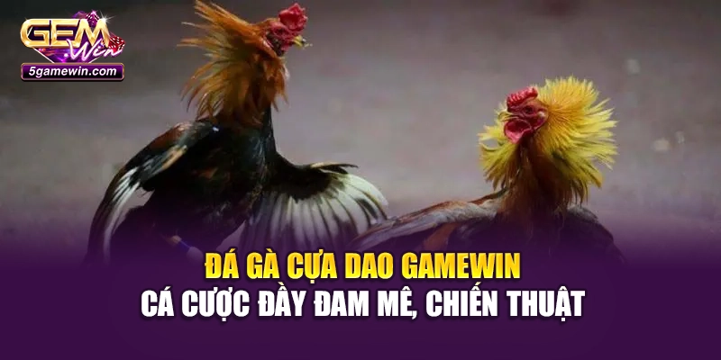 Đá Gà Cựa Dao Gamewin: Cá Cược Đầy Đam Mê, Chiến Thuật
