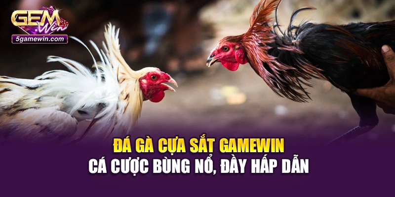 Đá Gà Cựa Sắt Gamewin – Cá Cược Bùng Nổ, Đầy Hấp Dẫn